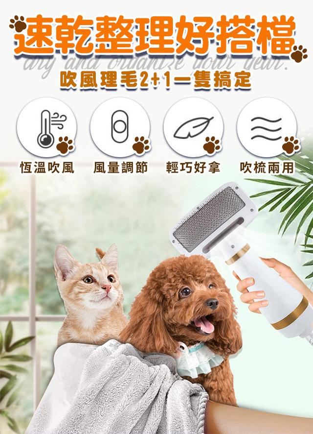 現貨 【哈沃貝貝】插電式二合一寵物吹風除毛梳