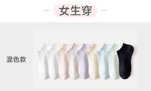 卡拉美拉旅行襪（預購）
