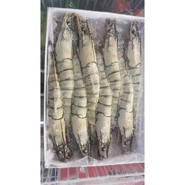 現貨 黑鑽虎蝦/草蝦/海草蝦/大蝦/8隻