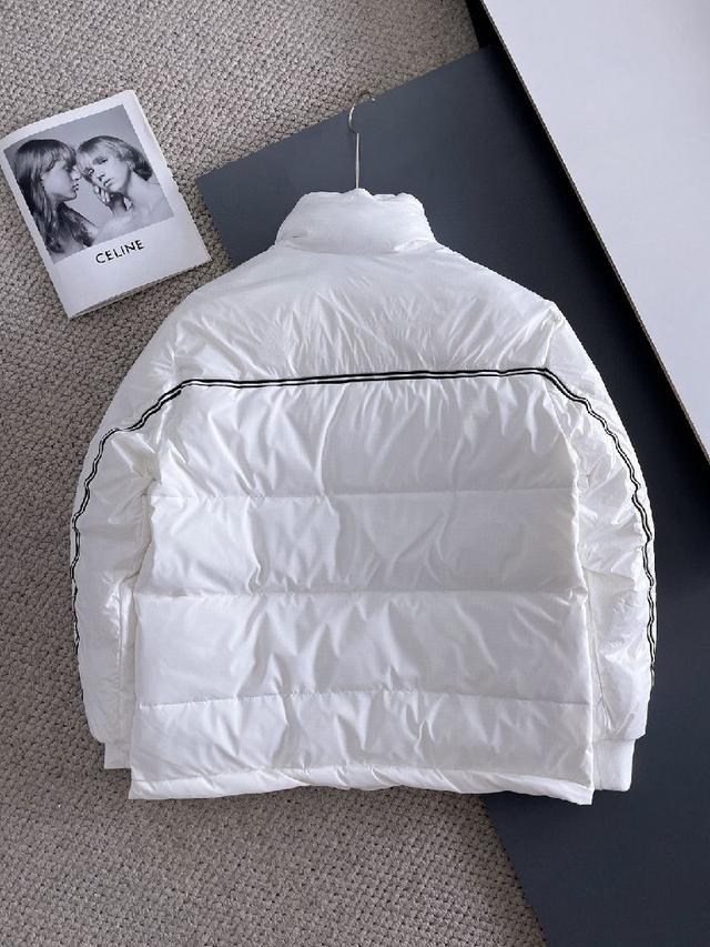 新款羽绒服。这款号称羽绒服届最贵的，全部90绒的。