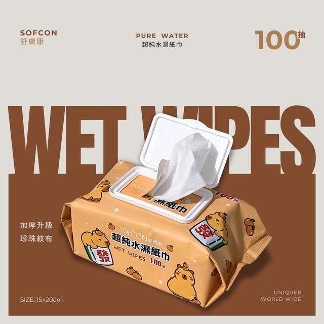 預購 卡皮巴拉超純水厚磅濕紙巾 100 抽《一組3包》-1/14號中午12點結單