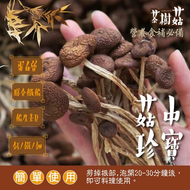 預購 菇中極品！【鳳松林】滋補山珍茶樹菇50g -9/23下午3點收單