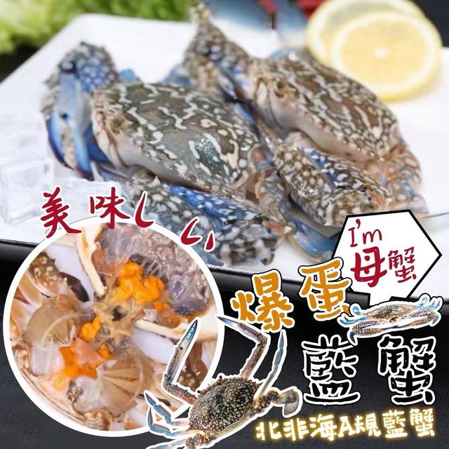活凍藍花蟹(母) 150g~200g /隻〈冷凍配送不入倉 未達免運需運費〉-7/9號中午12點結單