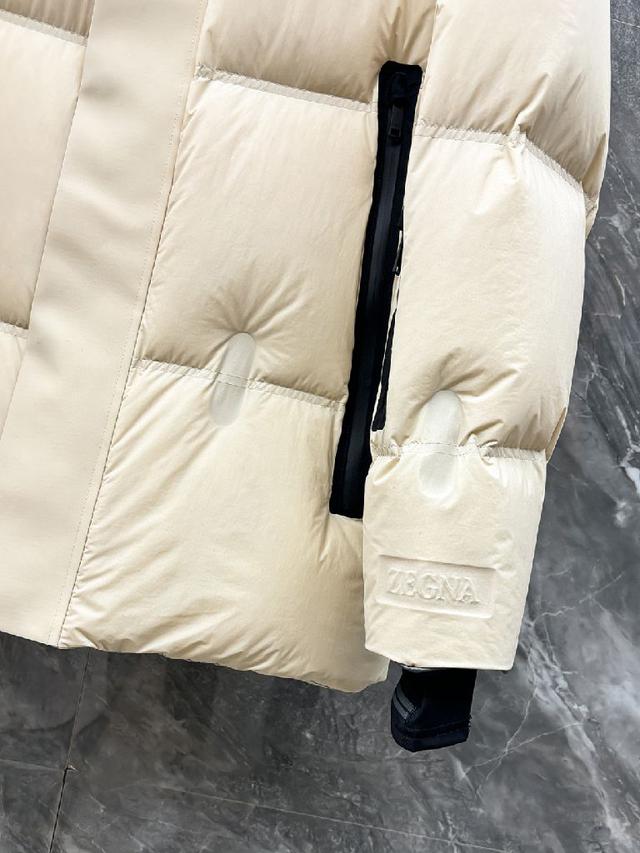 90鹅绒 秋冬新款防水尼龙防风连帽立领羽绒服 男士立体浮雕压花