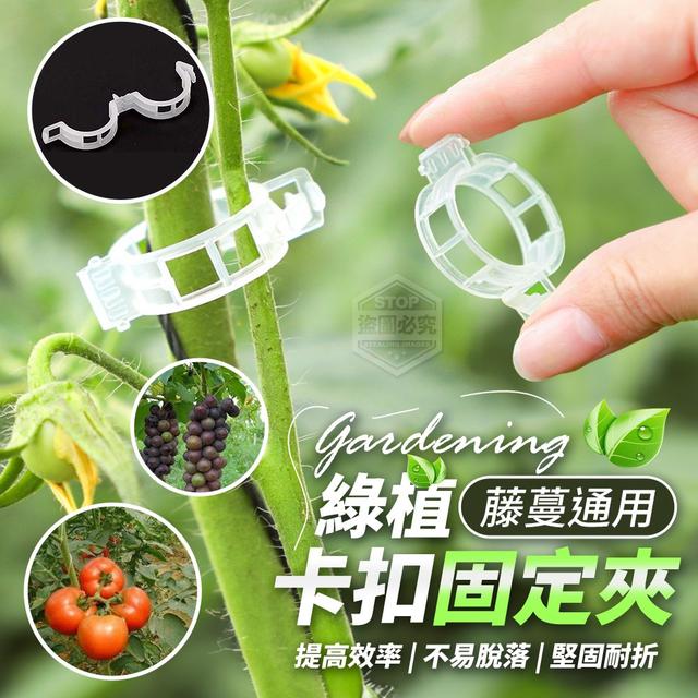 【預購商品】【0407結單】【批發】藤蔓通用-綠植卡扣固定夾200入 240403-05
