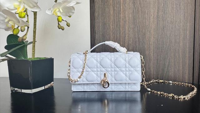 部搭配手柄，优雅实用，令 Lady Dior 系列更加丰
