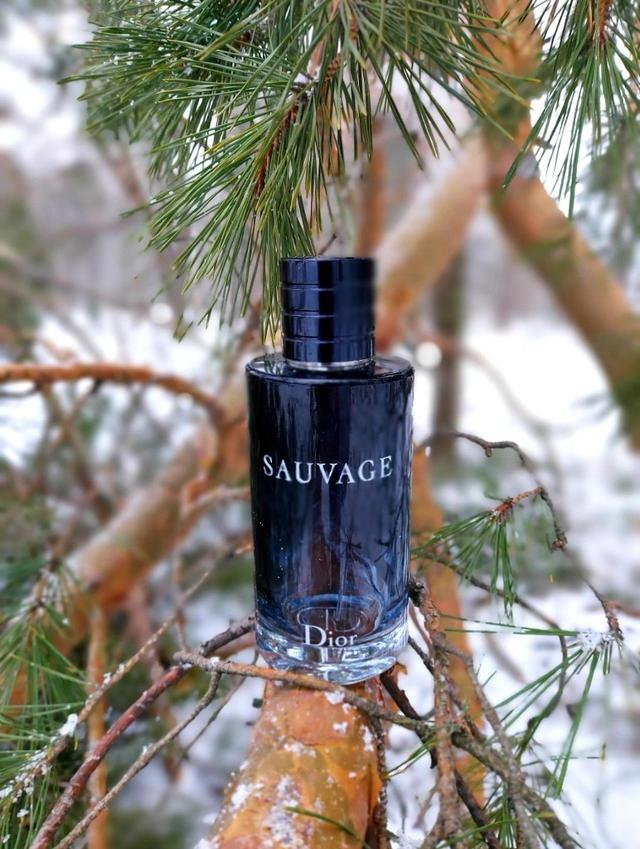 Sauvage Dior 曠野之心淡香水 100ml (男香)