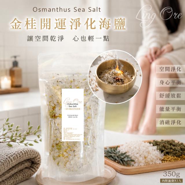 預購 鹽淨磁場轉運招財淨化首選 金桂開運淨化海鹽350g (內附濾袋*1) -5/26下午3點收單