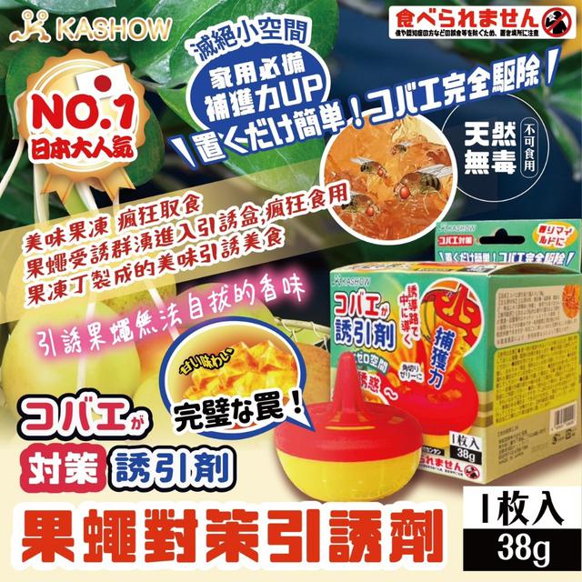 預購 日本人氣大推【果蠅對策引誘劑】(綠盒)-4/22號中午12點結單