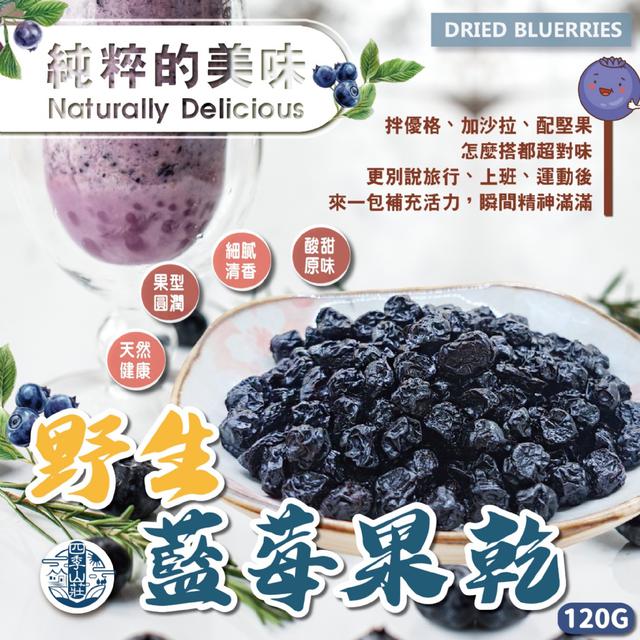 廠商現貨 無添加最純粹！四季山莊 野生藍莓果乾120g