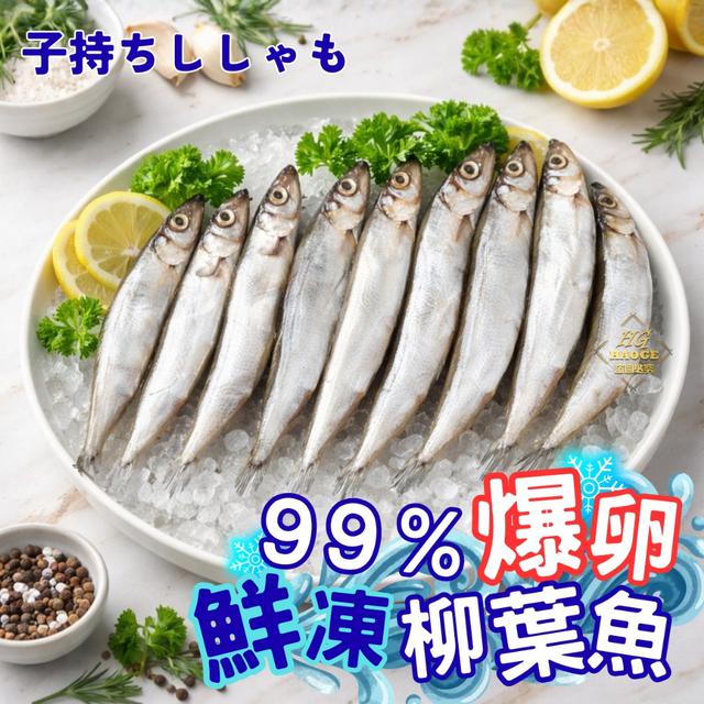 現貨✨99%爆卵✨鮮凍柳葉魚