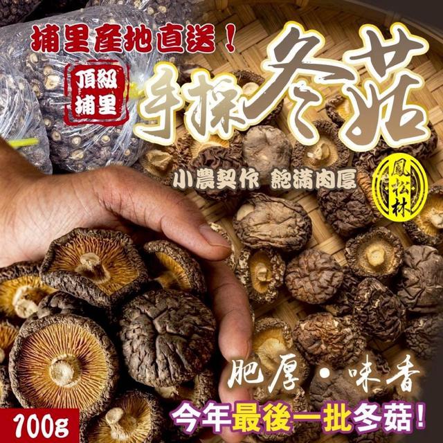 【預購商品】【0416結單】【批發】鳳松林 頂級埔里手採冬菇100g 260414-16