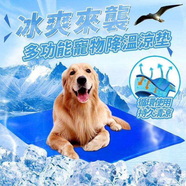 【預購商品】【0706結單】【批發】多功能寵物降溫涼墊 250704-21