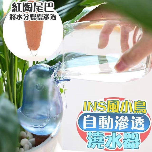 【預購商品】【0531結單】【批發】INS風 小鳥自動滲透澆水器 260529-30