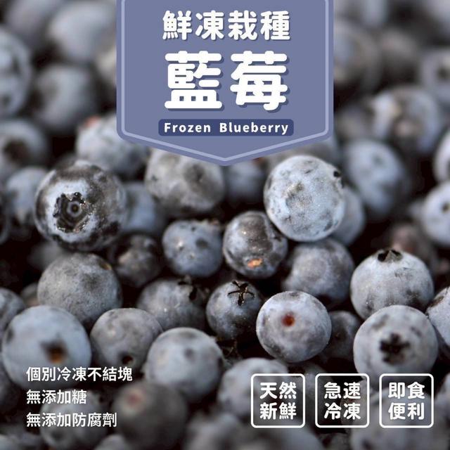 現貨-鮮凍栽種藍莓🫐