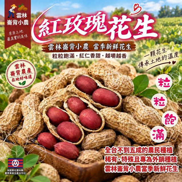 【預購商品】【1029結單】【批發】【第N團】雲林崙背小農 紅玫瑰花生150g 261026-40