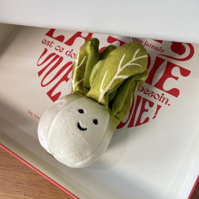 《預購》ins搞怪大白菜掛件蔬菜水果小白菜 毛絨公仔包包鑰匙扣掛飾GJ015