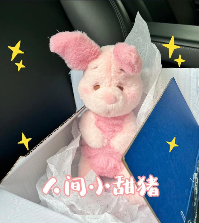 可愛粉紅色瞌睡小豬毛絨掛飾(預購)