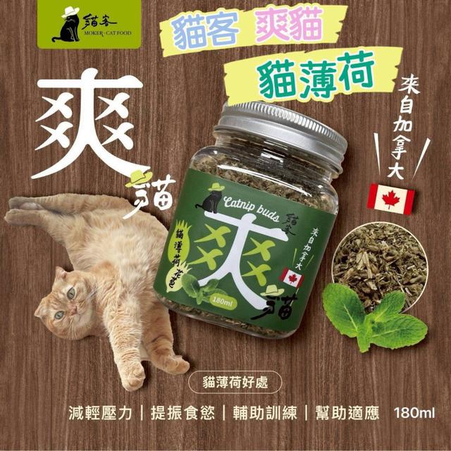【預購商品】【0806結單】【批發】貓客爽貓 來自加拿大的貓薄荷180ml 250804-07