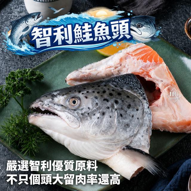 現貨智利鮮凍鮭魚頭