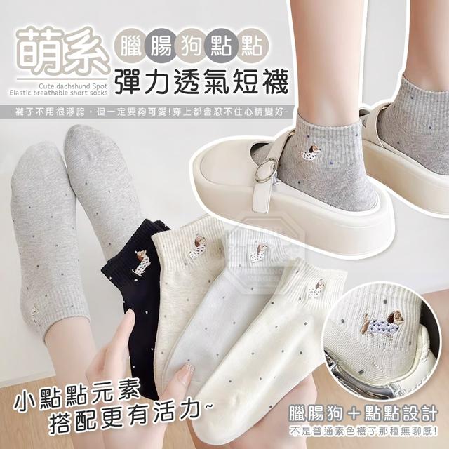 【預購商品】【0504結單】【批發】萌系臘腸狗點點彈力透氣短襪5雙 260502-24