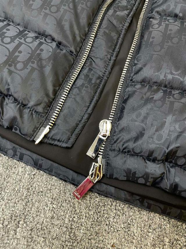 2025秋冬新款羽绒服。这款号称羽绒服届最贵的，全部90绒