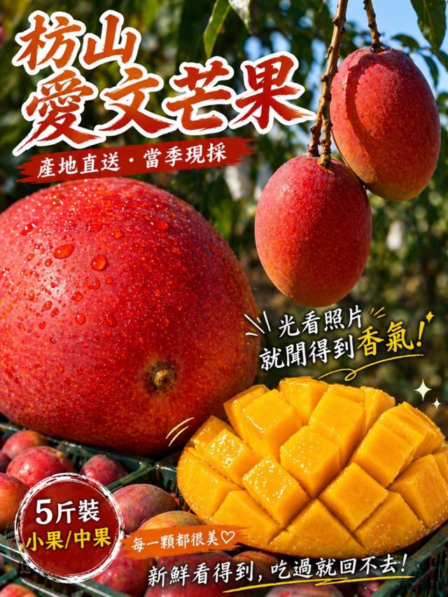 預購 外銷品質枋山愛文芒果(五斤/盒)〈不入倉〉-5/13號中午12點結單