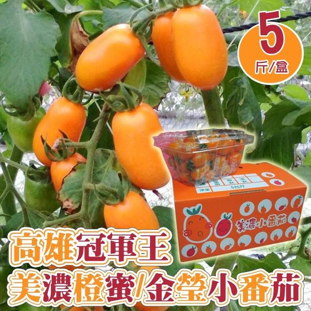 預購 美濃橙蜜 金瑩小番茄 五斤(6盒/箱)《箱出免運》-12/24號中午12點結單