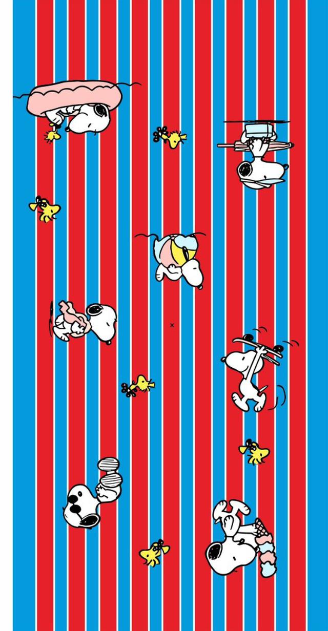 【預購商品】【0718結單】【批發】可愛史努比 超細纖維5入 260717-02