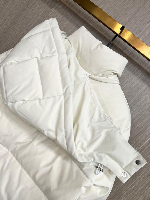 新款羽绒服。这款号称羽绒服届最贵的，全部90绒的。