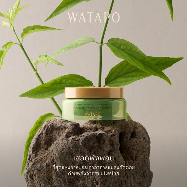泰國臥佛寺-Watapo草本萬用膏40g#09/14