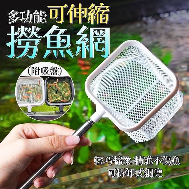 【預購商品】【0315結單】【批發】多功能可伸縮撈魚網(附吸盤)