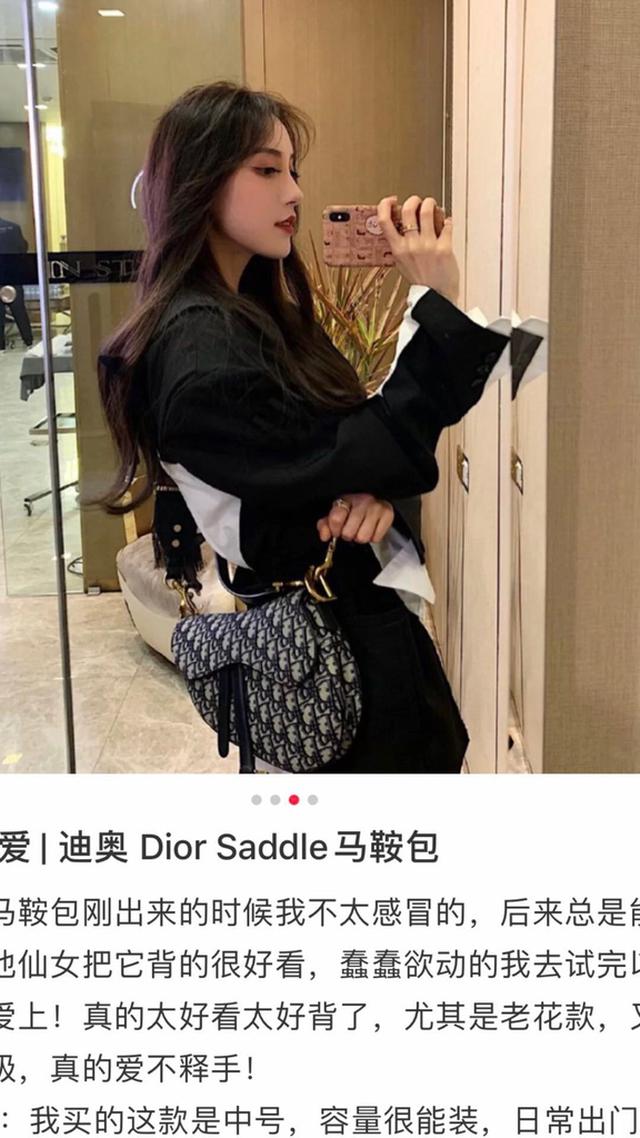 迪奥马鞍包 专柜对版 全锁边刺绣