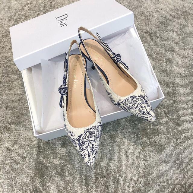 Dior刺绣精品鞋