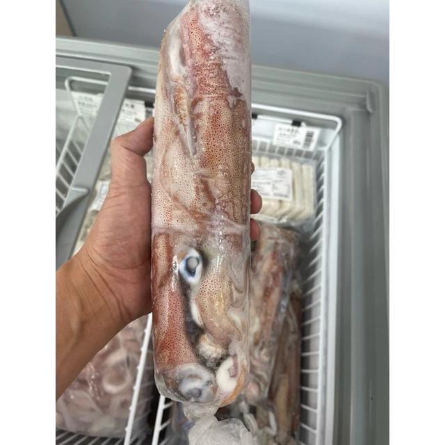 現貨 船凍大透抽/一包900g6-8隻