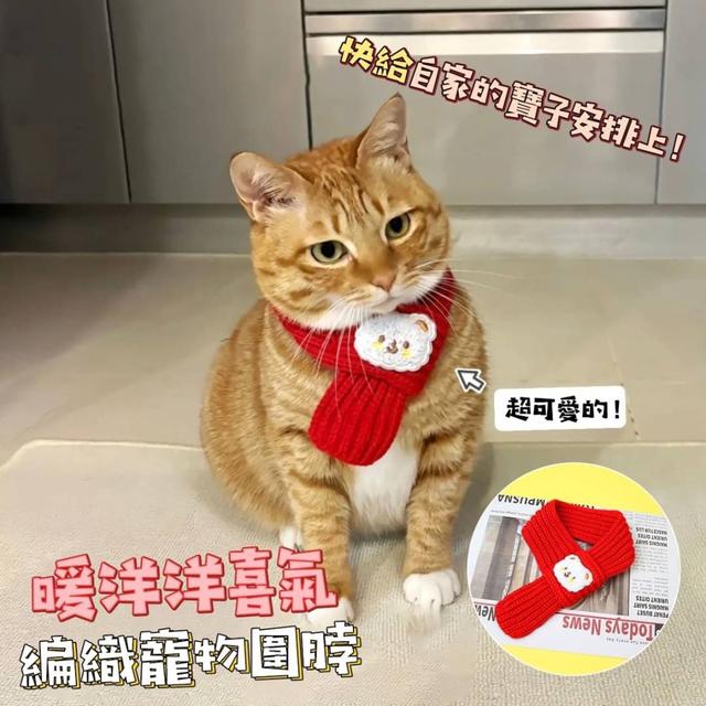 【預購商品】【0103結單】【批發】暖洋洋喜氣編織寵物圍脖