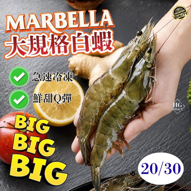現貨MARBELLA✨超大規格白蝦〈20/30〉✨