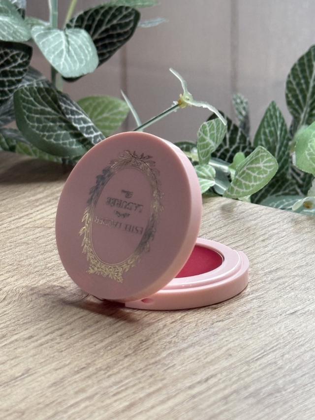 廠商現貨 雅詩蘭黛 粉嫩慾望晶透潤唇隨身鏡 #004 1.6G