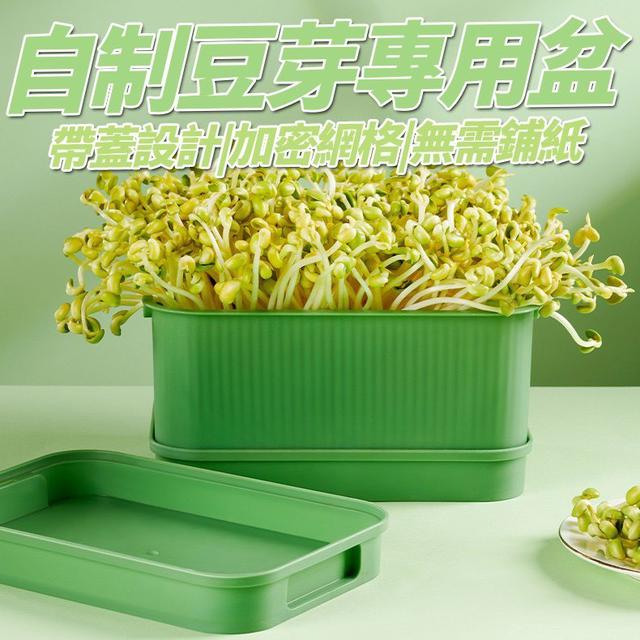 【預購商品】【0919結單】【批發】自製豆芽專用盆 250917-17