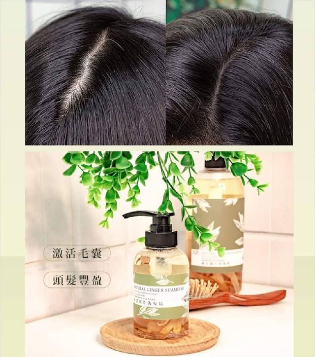 香水花園 激活薑片洗髮精 愛批發 洗護用品批發團購零售買賣貨源網