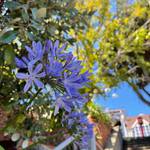 法國，歐洲品牌代買秘書 零售群