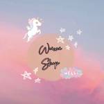 WeiWeishop批發 批發群