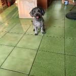 便宜實用 批發群