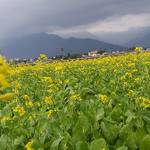 沛軒小舖 零售群