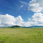 雪兒雜貨舖 零售群