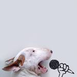 大台北批發群🈹️🈹️ 批發群