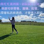 白熊🐻‍❄️忙忙批發群組 批發群