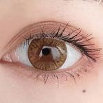 批發價最便宜❤️ 批發群