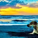 《又又小屋》批發互助群 批發群