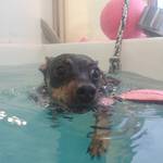 奇媽生活小舖 批發群